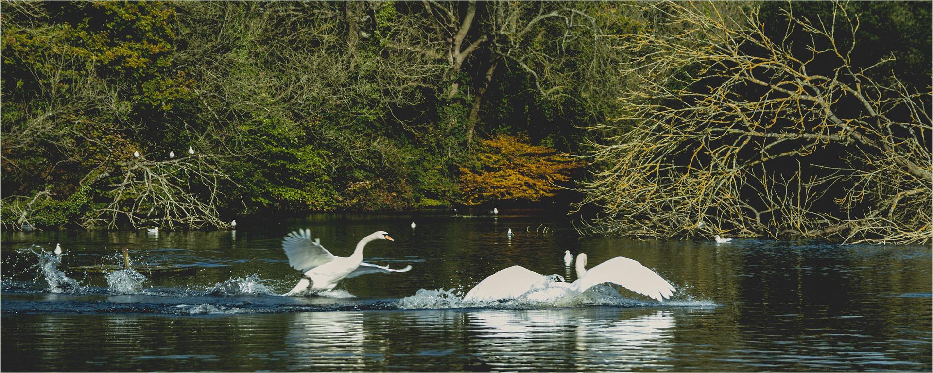 Vinters Valley Nature Reserve